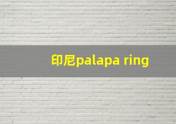 印尼palapa ring